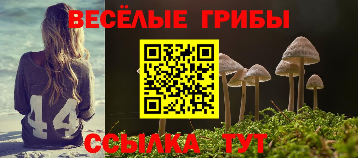 Торжок  Галлюциногенные грибы мицелий  Псилоцибиновые грибы Magic Shrooms  Вход с VPN 